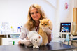© ShapikMedia - Brno, Czech Republic - March 28, 2025: Veterinarian performs Ultrasound diagnostics of a cat during an appointment at a veterinary clinic.