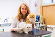 © ShapikMedia - Brno, Czech Republic - March 28, 2025: Veterinarian performs Ultrasound diagnostics of a cat during an appointment at a veterinary clinic.
