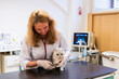 © ShapikMedia - Brno, Czech Republic - March 28, 2025: A veterinarian trims the claws of a cat. An appointment at a veterinary clinic