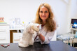 © ShapikMedia - Brno, Czech Republic - March 28, 2025: Veterinarian with a cat. Appointment at a veterinary clinic