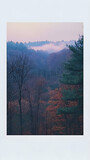 Serene view of a forest landscape with fog rolling over the trees at dusk creating a peaceful atmosphere in shades of b