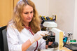 © ShapikMedia - Brno, Czech Republic - March 28, 2025: Laboratory tests. A veterinarian looks into a microscope