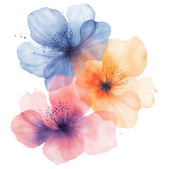 Poster - Elegant floral watercolor design featuring pastel colors and soft petals Clipart Photo isolated on transparency background