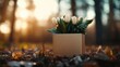 © Novcicrelax - This image shows a charming arrangement of white tulips in a decorative box, highlighting the beauty of nature within a rustic and warm environment defined by autumn leaves.