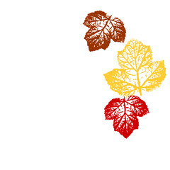 Wall Mural - autumn leaves on white background