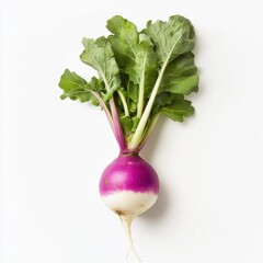 Poster - Fresh turnip with smooth purple skin and vibrant green leaves sits on a plain background showcasing its natural beauty