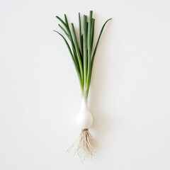 Aufkleber - Fresh scallion with a white bulb and vibrant green tops showcased against a white background