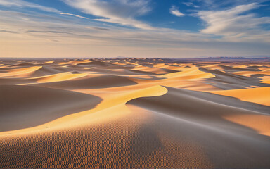 Poster - Golden hour illuminates rolling sand dunes in a vast desert landscape under a partly cloudy blue sky. The warm light casts long shadows and highlights the texture of the sand.
