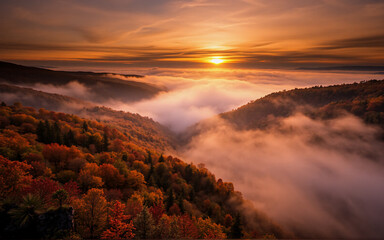Poster - Golden hour paints a breathtaking vista as the sun sets over rolling hills.  Fog gently blankets the valley below, partially obscuring the vibrant autumn foliage of the forest.  A tranquil and scenic 