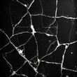 © vuang - Elegant black marble with white veining patterns