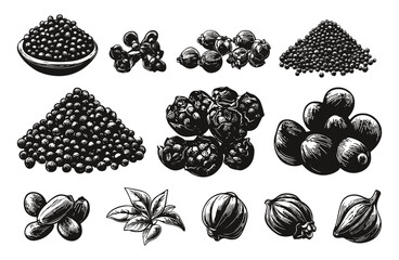 Wall Mural - Peppercorn Heap Mill Dried Seed Icons Set Black and White Linocut Print Style Spices Herb Grinding Tools Vintage Illustration Monochrome Artwork Pepper Seed Dried Peppercorn Mill