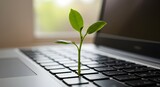 Teclado de portátil con planta creciendo sobre él. Concepto de informática ecológica. Tecnología de bajo consumo de carbono. Sostenibilidad digital.
