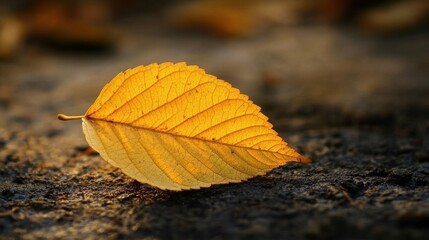 Fallen yellow leaf. Generative AI