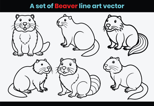 A set of bcaver cartoon animals line art vector.