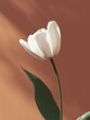 © MK - Pure White Tulip