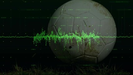 Poster - Animation of digital sound wave overlaying soccer ball on grass