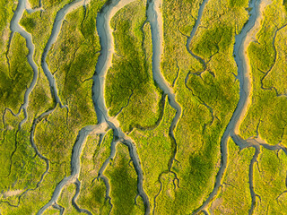 Wall Mural - nature from a drone. aerial view of a meandering river in a field. scene from air. landscape during 