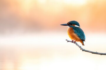 Poster - peaceful scene of small bird nestled on bare branch soft morning light highlighting its delicate fea