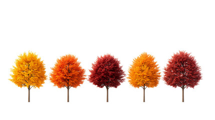 Wall Mural - Colorful trees in autumn foliage, nature isolated, cut out transparent