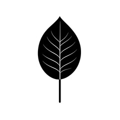 minimal flat leaf icon black and white AI generative