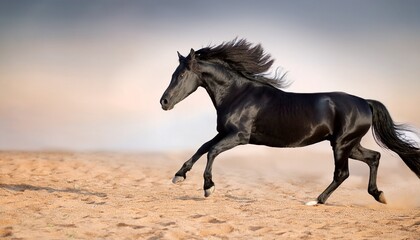 Naklejka na meble Black Horse Running on Sandy Terrain. Generated image