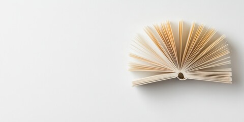 Poster - Minimalist Learning Aesthetic Open Book Knowledge Visualization for Digital Education, Soft-Focus Wellness Content and Intellectual Growth Inspiration