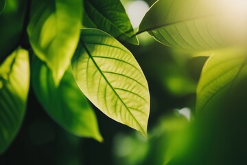Poster - Eco-Minimalist Nature Vibrant Green Leaf Macro Texture - Sustainable Design Inspiration for Wellness Branding and Environmental Storytelling