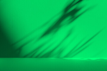 Poster - Wall interior background, studio and backdrops show products. with leaf shadow from window color green and white. background for text insertion and presentation of product	