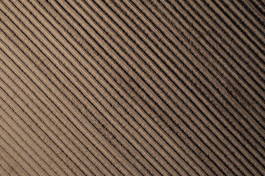 Plowed Furrows: Preparing the Soil for Planting