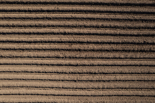 Plowed Furrows: Preparing the Soil for Planting