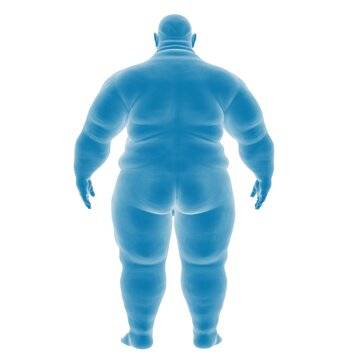 3D illustration of a human body in blue tones.