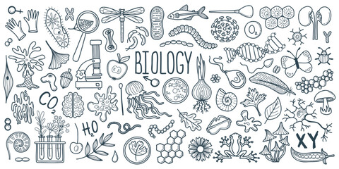 Hand drawn line art biology doodle set. Collection science concept vector illustration.