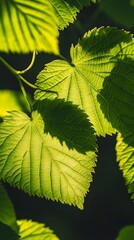Poster - close up view of flourishing verdant foliage with vibrant green leaves in a tranquil natural setting