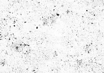Poster - An artistic display of black specks arranged organically against a clean white background, evoking depth and allure.