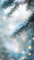 Poster - Icy blue pine bough glistening with snow under soft bokeh lights creating a wintry holiday mood