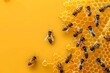 © ukrolenochka - A Busy Community of Honey Bees Working Together on a Honeycomb to Produce Delicious Honey