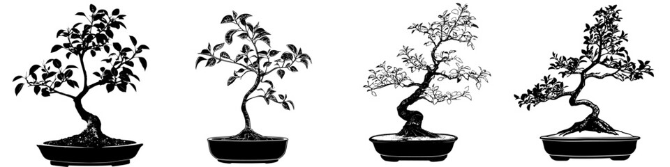 Poster - Bonsai trees displayed in various styles showcasing intricate artistry and design