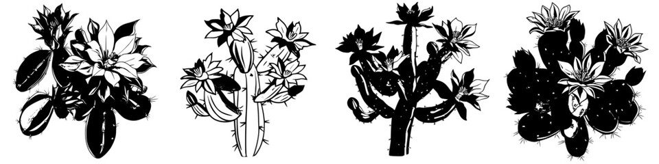 Poster - Unique black and white illustrations of various cacti with intricate floral details created for decorative purposes