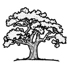 Poster - Intricate illustration of a majestic tree with detailed branches and foliage captured in a simple black and white design