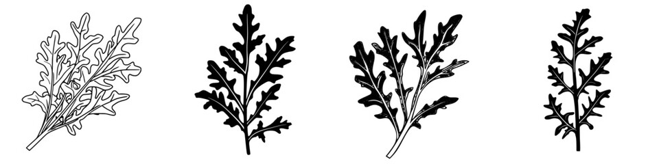 Poster - Different styles of arugula leaves illustrated in black and white showcasing natural patterns and shapes