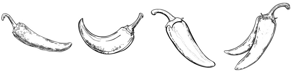 Poster - Detailed sketches of various chili peppers showcasing different shapes and sizes in a black and white illustration