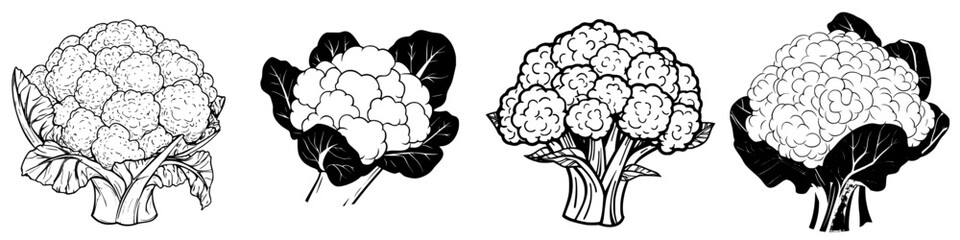 Poster - Various illustrations of cauliflower showcasing different views and details in a simple black and white style for illustration purposes