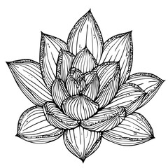 Poster - Intricate black and white illustration of a blooming lotus flower surrounded by detailed leaves and petals