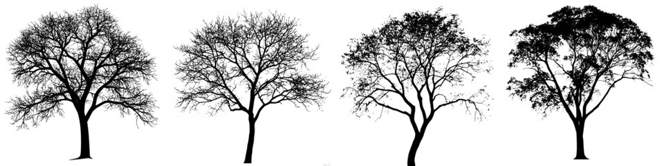 Poster - Different stages of tree growth depicted as silhouettes in a seamless progression during a clear day
