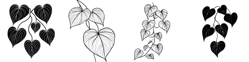 Poster - Elegant black and white illustrations of heart-shaped leaves with intricate details suitable for artistic design