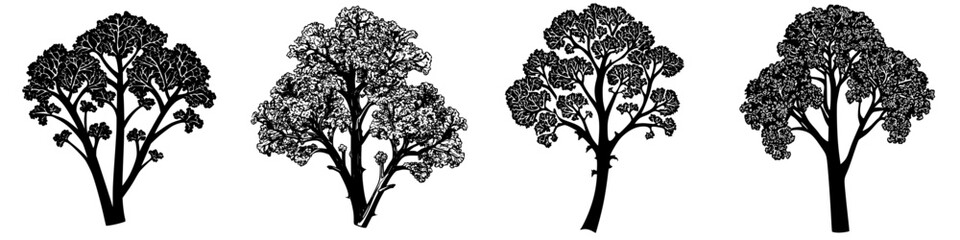 Poster - Different types of trees displayed as silhouettes against a white background emphasizing natural shapes and textures
