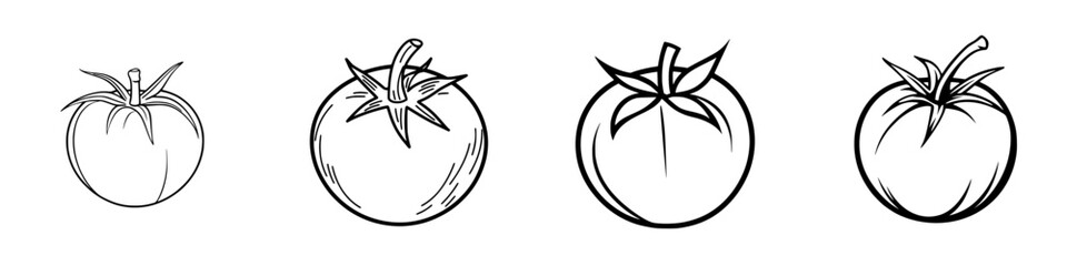 Poster - Different stages of tomato growth illustrated in a simple black and white design showcasing the transformation