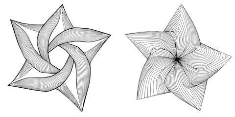 Poster - Intricate black and white star patterns showcase unique designs with flowing lines and geometric shapes