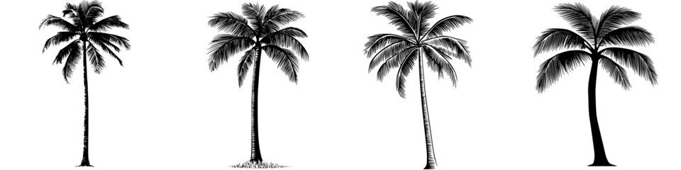 Poster - Silhouette illustrations of palm trees showcasing various shapes and sizes in a minimalist design