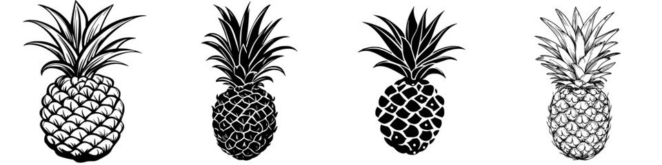 Poster - Different styles of pineapples illustrated in black and white showcasing various shapes and textures
